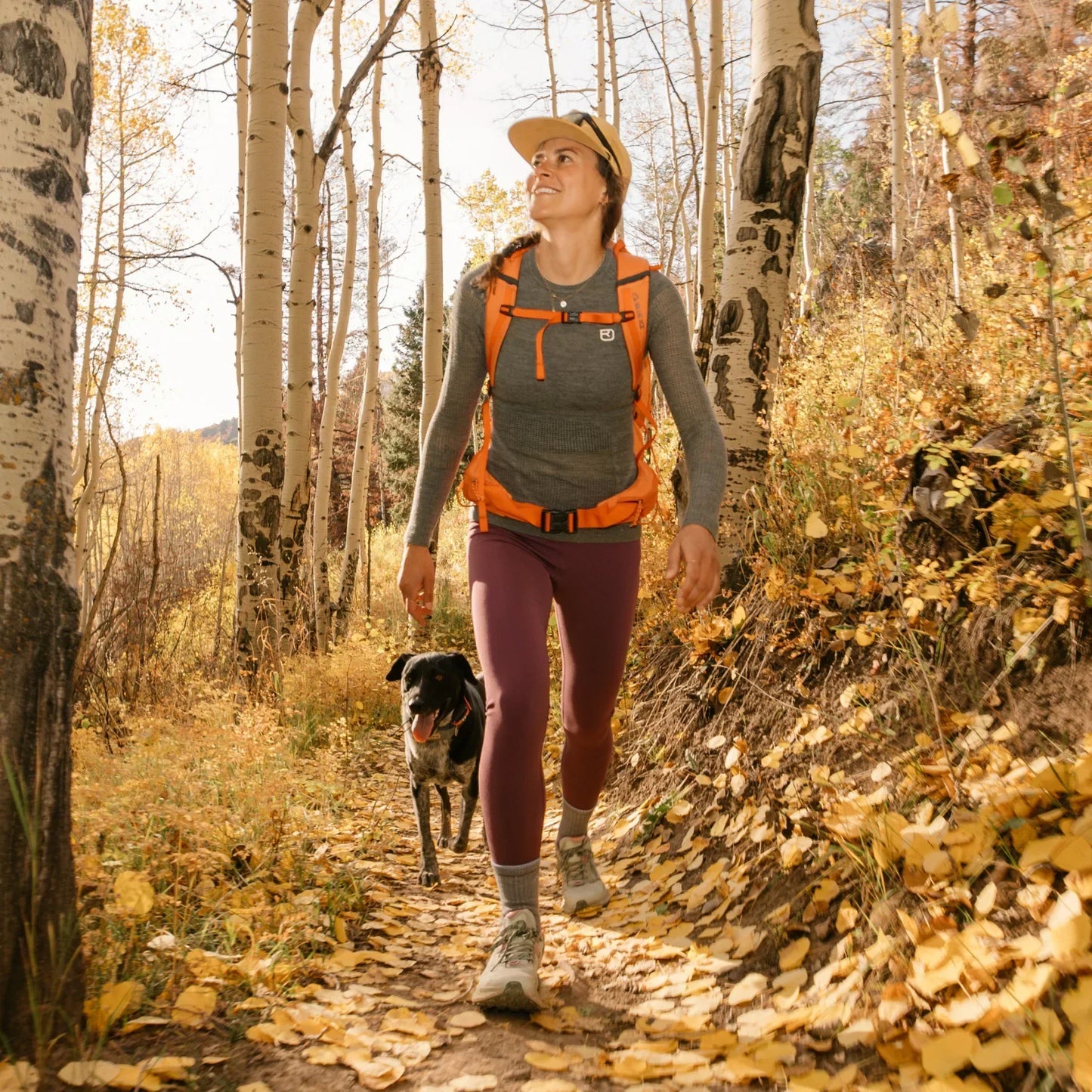 Women's Hiker Micro Crew Midweight Hiking Socks
