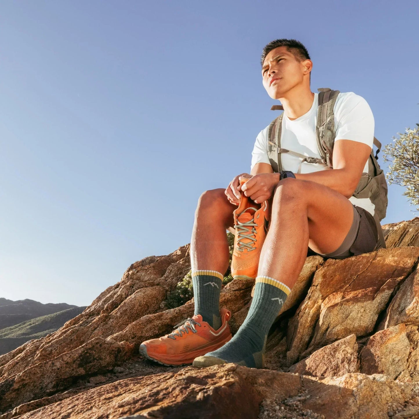 Men's Hiker Micro Crew Midweight Hiking Socks